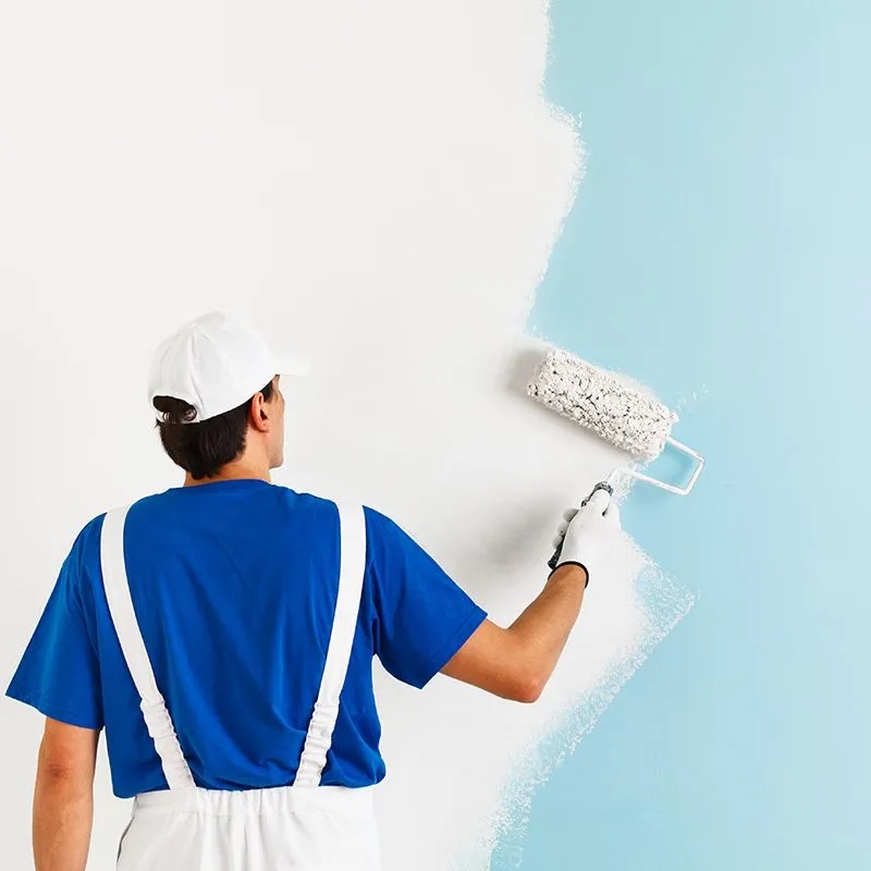 Aydın iç cephe boyama